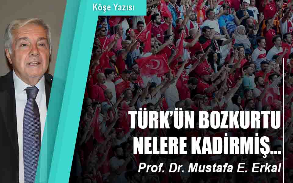 237239TÜRK’ÜN BOZKURTU NELERE KADİRMİŞ… düşük kalite.jpg